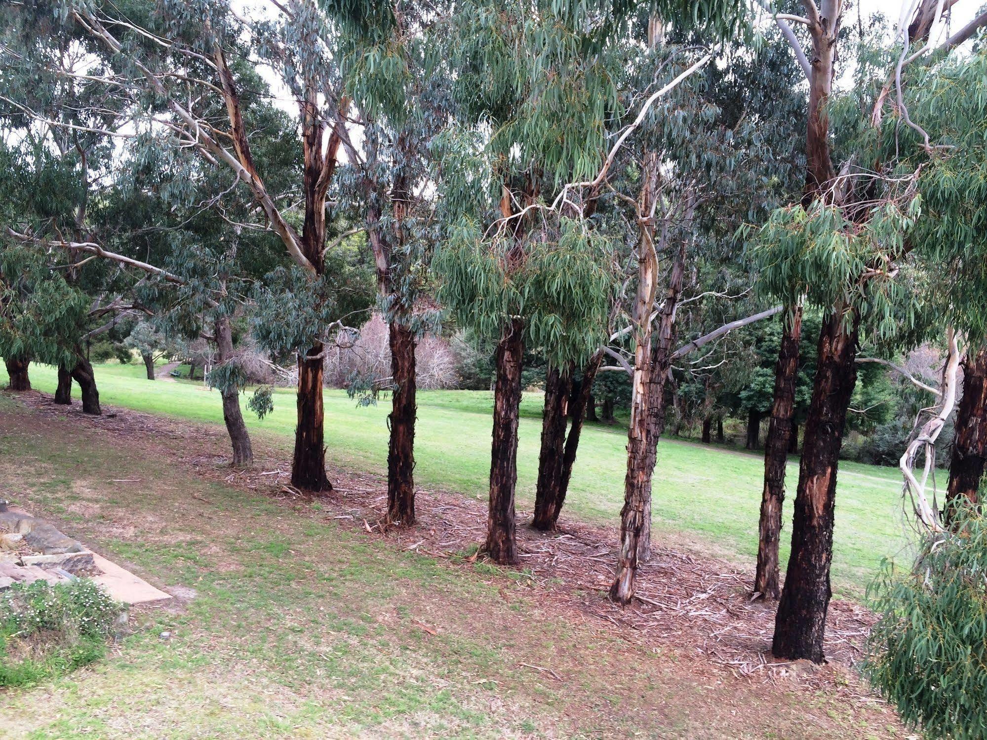 Hotel Daylesford By The Lake Cute&Cosy Studio Esterno foto